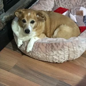 Meet your Posher, Brandy